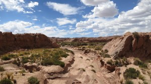 Colores espectaculares en la ruta